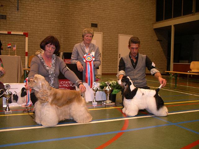 ACSN 2010-3 BIS en BOS.JPG